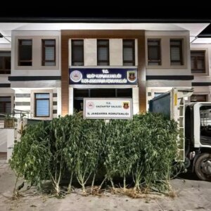 gaziantepte 825 kok kenevir ele gecirildi 8saF8QU9