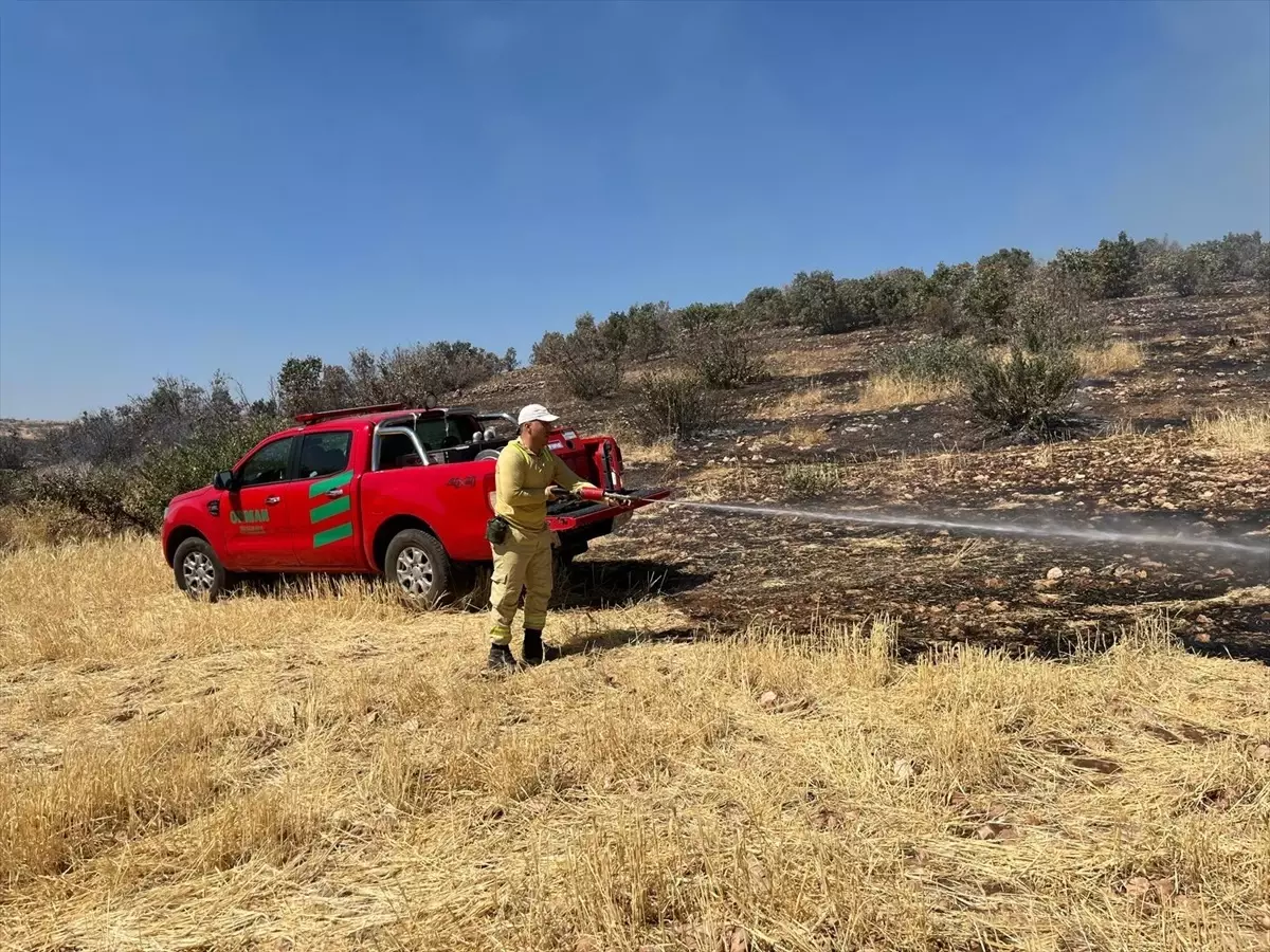 mardinde orman yangini kontrol altina alindi ghQl8j5D