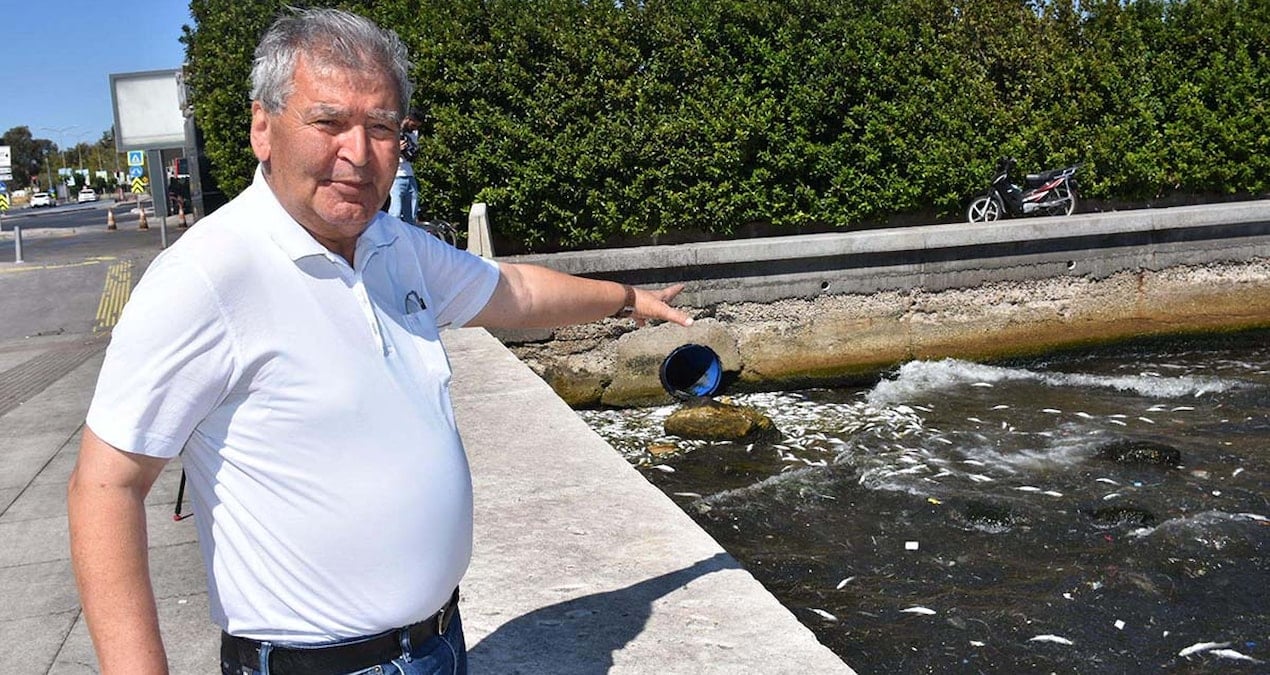 tedirgin eden goruntu buralarda sakin balik tuketmeyin IL5OrCFh