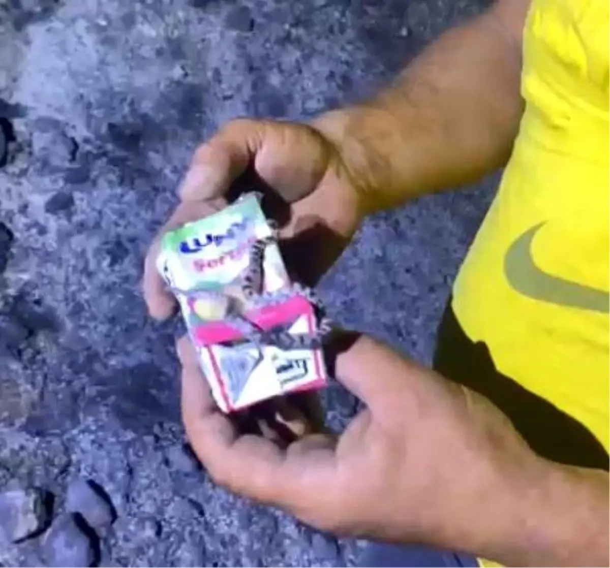 yangindan kurtarilan yavru yilan LkuJHBWz