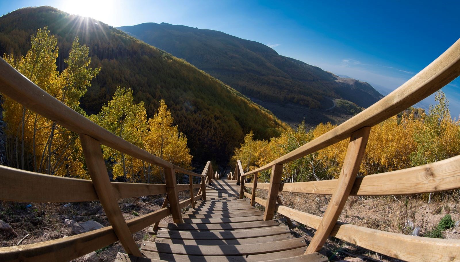 dogaseverlerin kayserideki sakli hazinesi ortaseki ormanlari rCd6NH4S