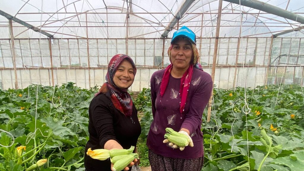 35-donumden-avrupaya-ihracat-kilosu-50-tlye-dustu-Cqq5WOW3