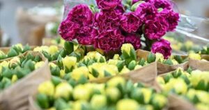 img_1781945565108
