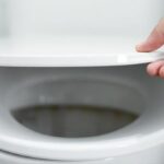 Yılan, fare, örümcek fark etmiyor! Klozetten eve giriyor, sifonu çekerek uzaklaştırmayın