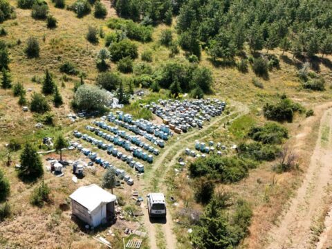Karadenizli aricilar memleketi birakip akin etti sebebi doganin mucizesinde gizli UzlFbce2