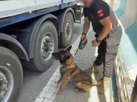 Tirdan 170 kilo esrar cikti 1 kisi tutuklandi PSvTdLlA