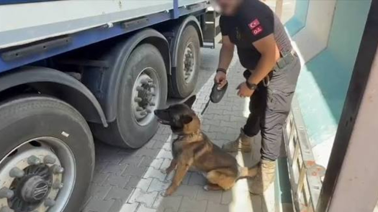 TIR’dan 170 kilo esrar çıktı! 1 kişi tutuklandı Tirdan 170 kilo esrar cikti 1 kisi tutuklandi PSvTdLlA